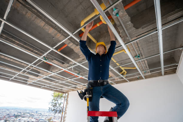 Best 24-Hour Plumber Near Me  in Irvington, KY